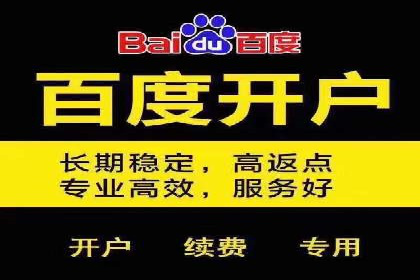 SEM推广策略：成功案例分享与启示